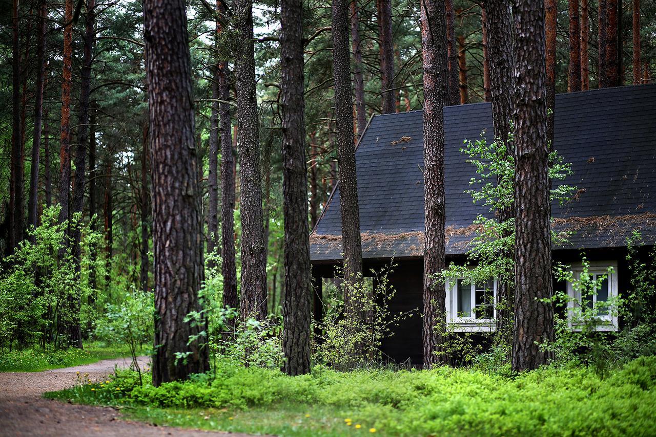 Wiatraki Nature Resort أولشتينيك المظهر الخارجي الصورة