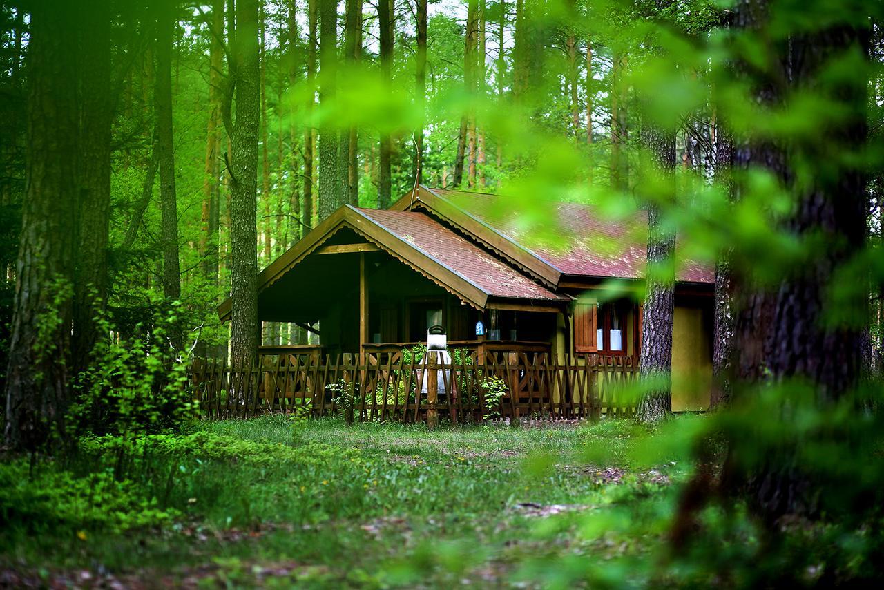 Wiatraki Nature Resort أولشتينيك المظهر الخارجي الصورة